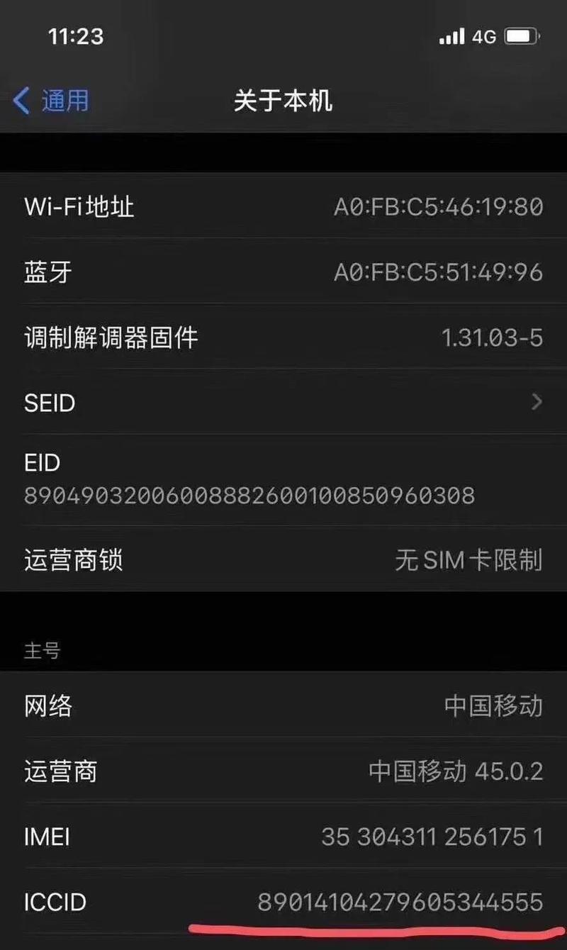 苹果手机应用锁的使用与设置方法（保护隐私，让应用安全独享）