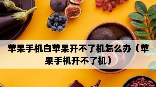 苹果手机白苹果开不了机故障的解决办法(如何应对苹果手机出现白苹果开不了机的情况)
