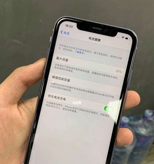 如何准确判断电瓶容量（掌握电瓶容量判断的关键方法）