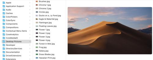 MacBook上如何创建文件夹（简易教程带你轻松操控）