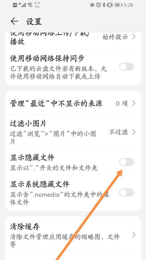 如何显示隐藏的文件（快速找到隐藏文件的方法）
