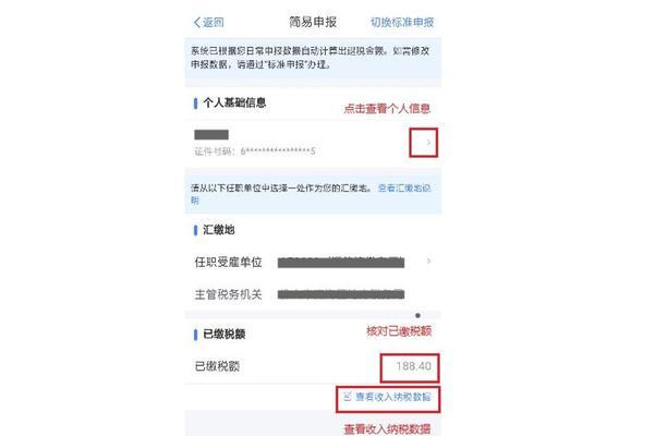 如何快速查询收入纳税明细图解（掌握“收入纳税明细”，轻松查询个人税务情况）