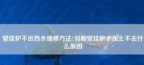 壁挂炉电源接反了怎么办（解决壁挂炉电源接反问题的方法与注意事项）