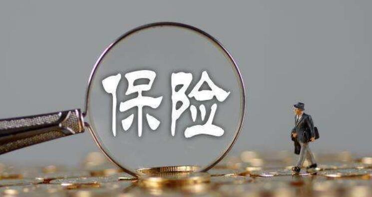 保释金会退还吗多久退(一文解读保释金相关规定)