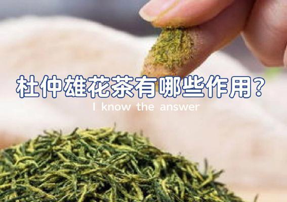 雄花杜仲功效与作用（深入探究雄花杜仲的养生之道）