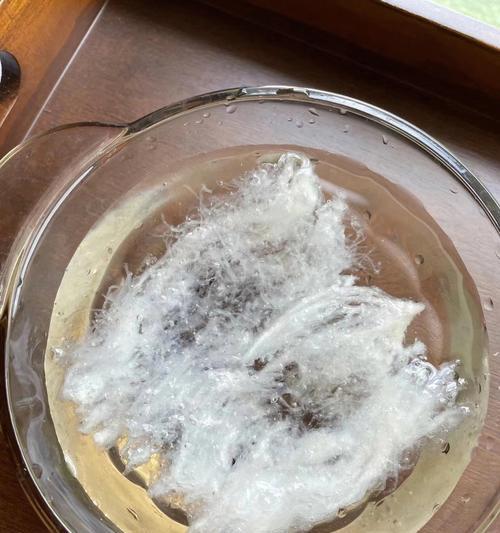 燕窝怎么泡发(正确挑选燕窝的方法与技巧)