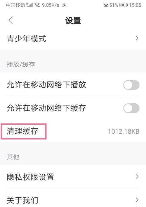 电脑网页缓存数据清理指南（如何优化电脑网页使用体验）