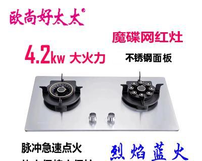 如何正确清洗好太太燃气灶（轻松掌握清洗技巧）
