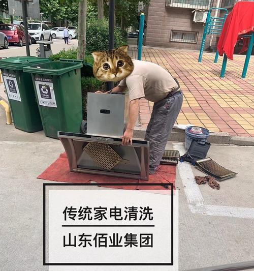 宁波油烟机清洗方法（掌握清洗技巧）
