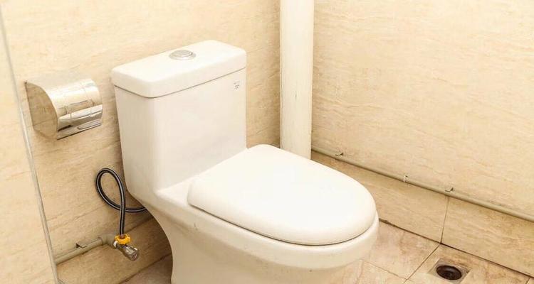 如何选择一个好用耐用又便宜的卫生间马桶（全面分析马桶的关键因素）
