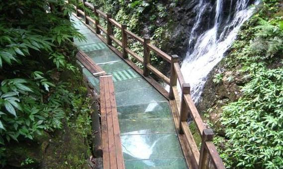 神农架油烟机清洗方法大揭秘（一招不慎）