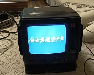 电视变黑白了怎么办（快速解决电视黑白屏的方法）