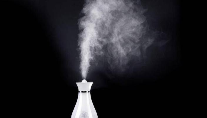 迷你加湿器不出雾的解决方法（如何排查迷你加湿器不出雾问题）