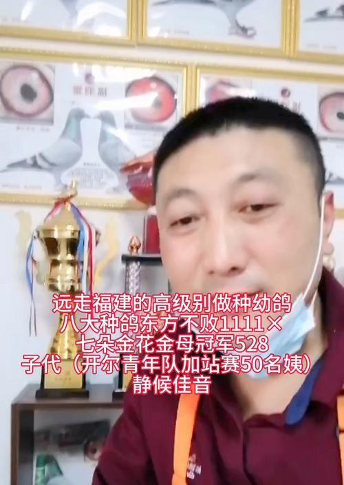 如何在竞争中以弱胜强？静候佳音的策略是什么？