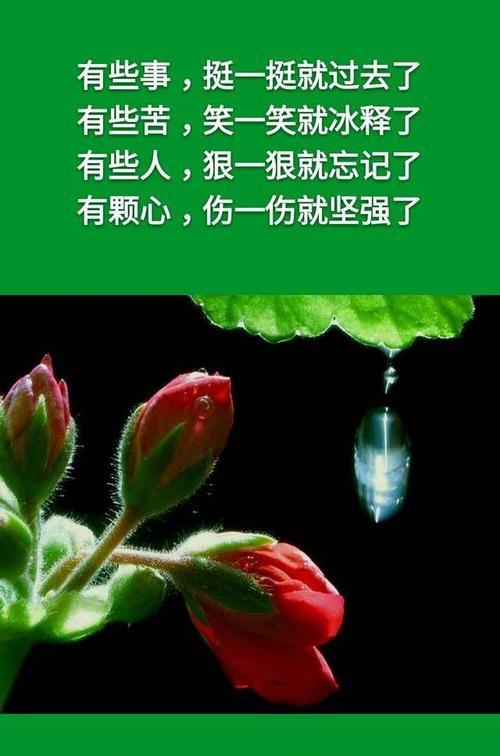 绝对的良心创作是什么？如何鉴别真正的良心创作？