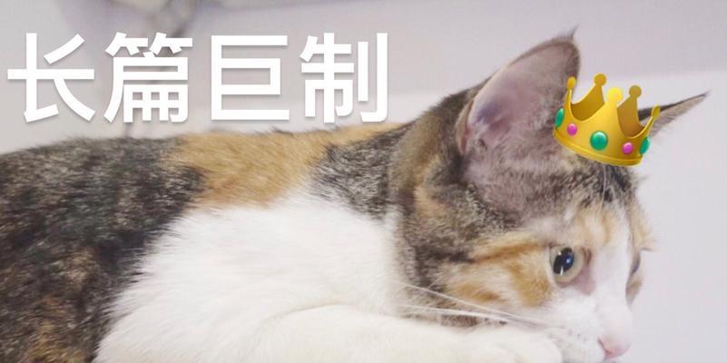 绝对的良心创作是什么？如何鉴别真正的良心创作？