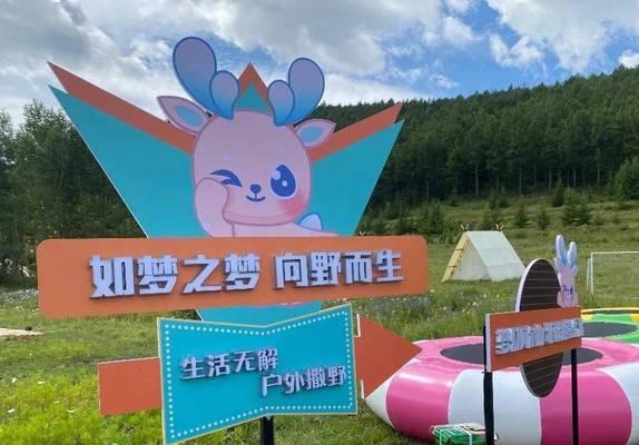 选择无忧的三大亮点是什么？如何影响你的决策？