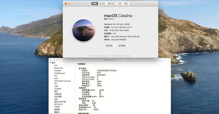 如何在Mac上禁用独立显卡？禁用后会有什么影响？
