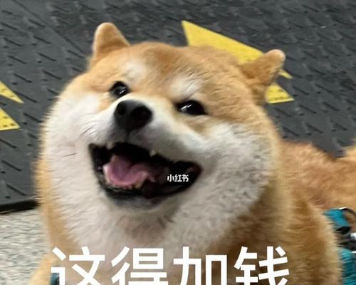 这三款产品如何满足你的需求？常见问题解答是什么？