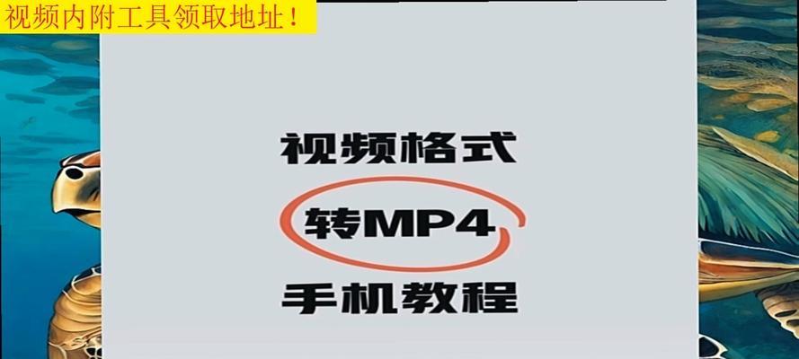 MP4视频下载格式是什么？如何选择合适的MP4格式进行下载？