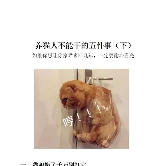 不会选电脑的一定要认真看？如何根据需求挑选合适的电脑配置？