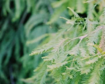 收获了无数人的芳心？如何保持长久吸引力？