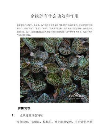 它的作用还有很多？如何全面了解并利用？