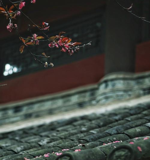 寺庙场景摄像机如何用手机拍照？