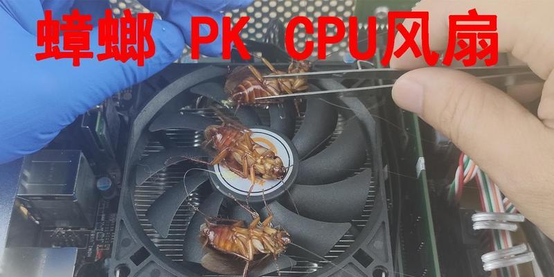 蟑螂钻进笔记本电脑的原因是什么？如何预防？