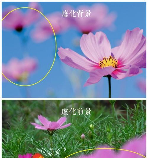 手机拍照背景虚化技巧是什么？如何实现？