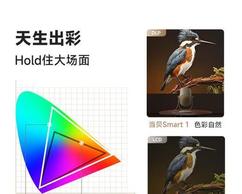 哪个品牌的高端投影仪最清晰？购买时应注意什么？