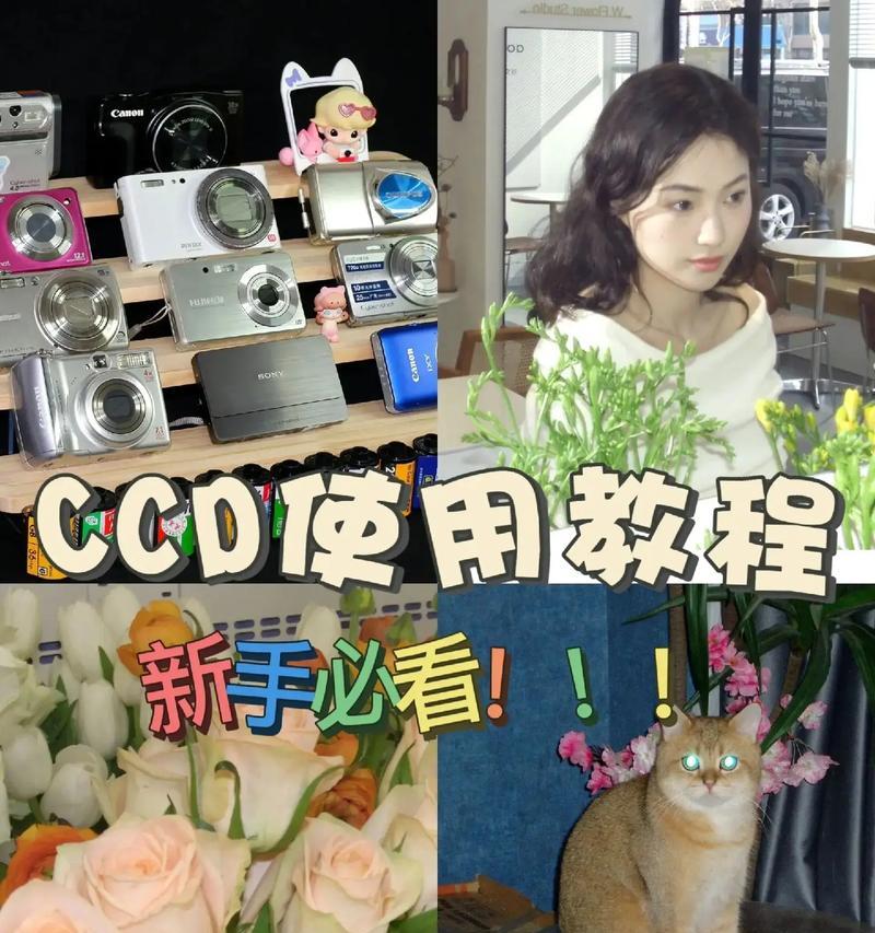 日本ccd如何在手机上使用？