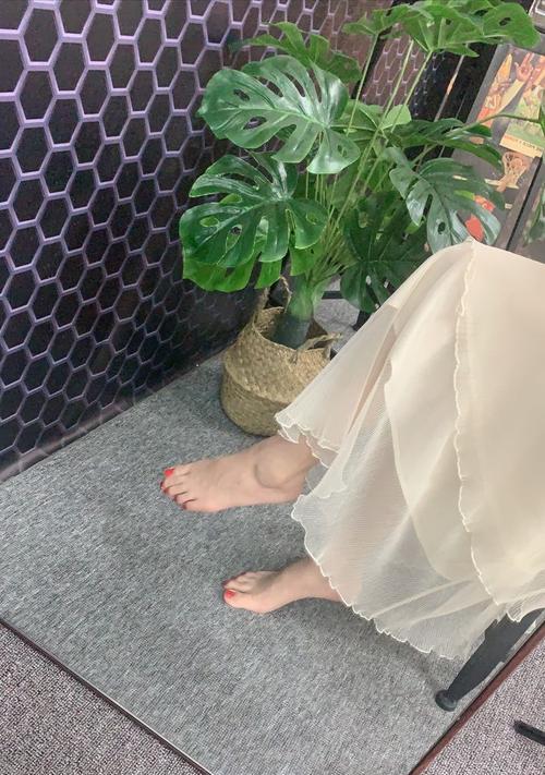 如何使用手机夹脚拍出美观的照片？