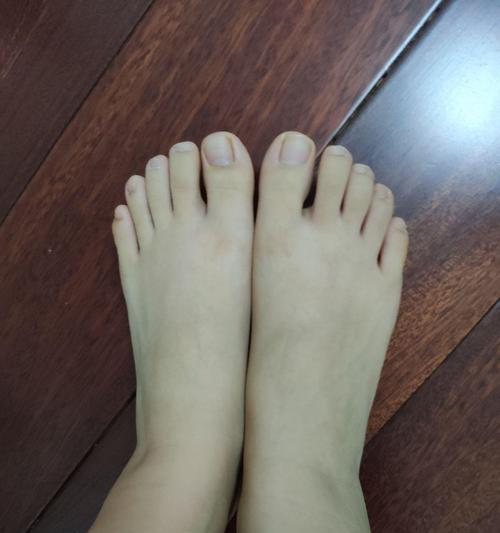 如何使用手机夹脚拍出美观的照片？