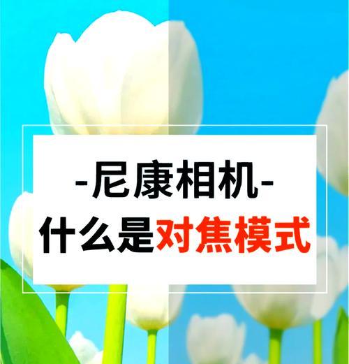 手机照相机拍照模糊是什么原因？如何解决拍照模糊问题？
