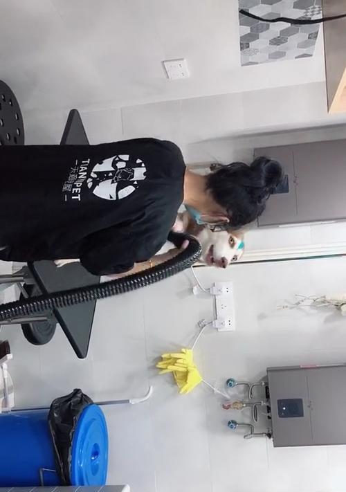 洗澡时如何使用自动充电器？自动充电器的安全使用指南是什么？
