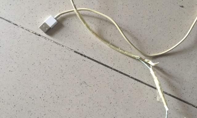 遥控车充电器丢失了怎么办？有哪些替代品可以使用？