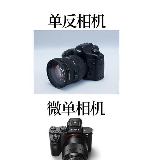 老手数码相机怎么用？有哪些基本操作技巧？