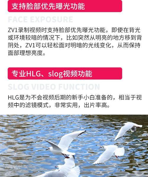 索尼zv1数码相机的性能特点是什么？