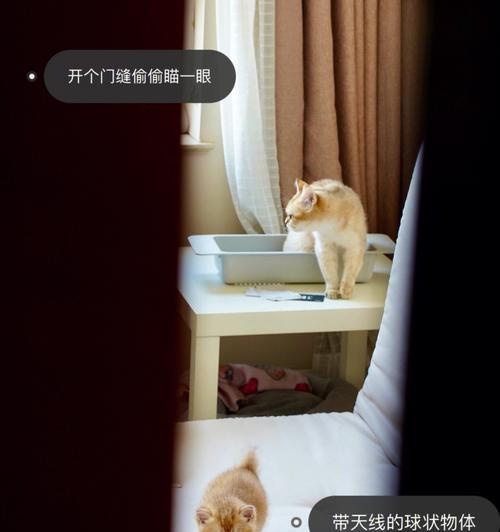 如何利用手机摄像头通过门缝进行观察？