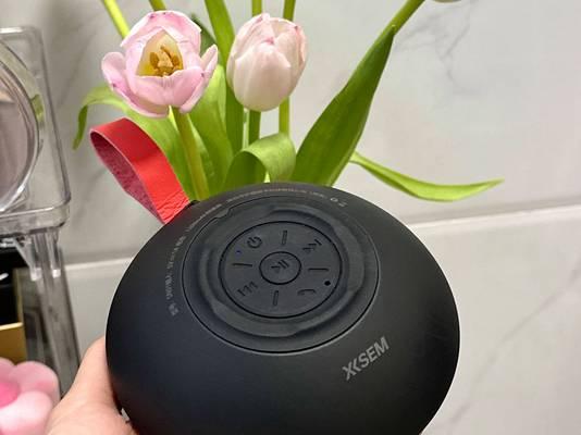 家用豪华型音箱选择标准是什么？
