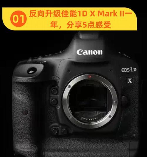 佳能1D相机调整画面比例的方法是什么？比例调整对照片有何影响？