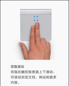 苹果电脑文件放大操作步骤是什么？如何提高效率？