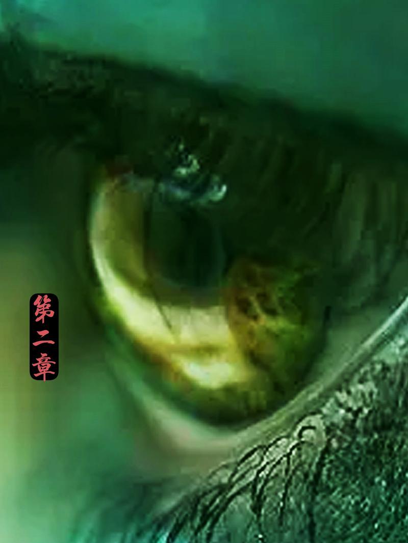手机阴阳眼摄像头开启方法是什么？开启后如何使用？